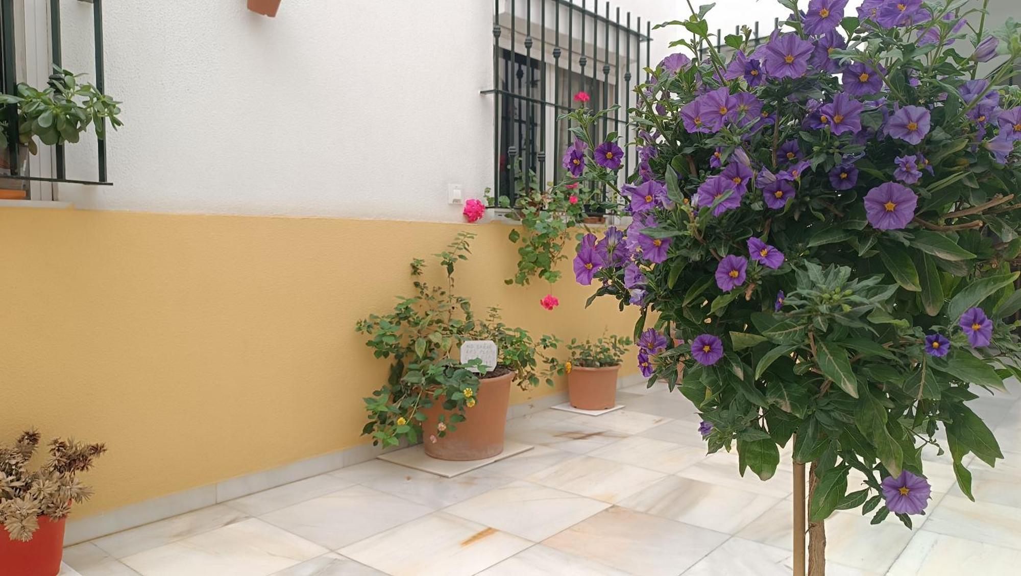 Sherryflat Fontana Jerez de la Frontera Exterior photo